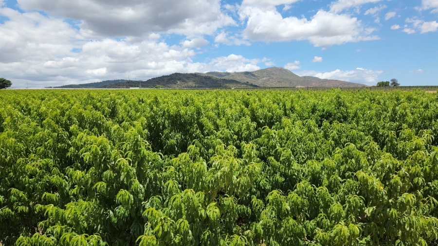 Commercial Property for Sale in Paarl Rural Western Cape